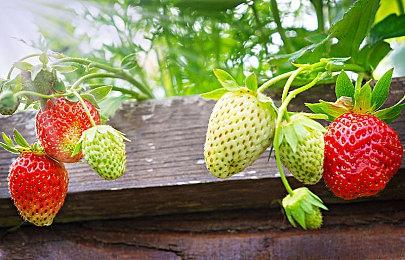 《战地2042》PS5＆XS数字标准版升级 现已包含旧世代版本